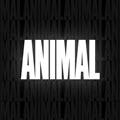 ANIMAL Coupons Logo