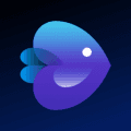 InVideo Coupons Logo