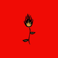 Roses del Fuego Coupons Logo