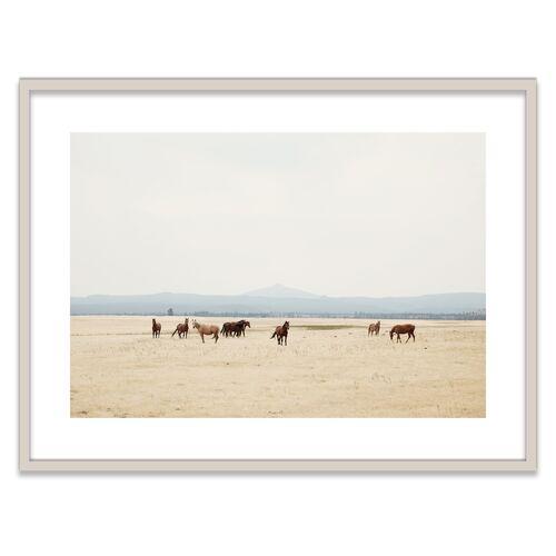 Christine Flynn - Wild Horses II Photograph - Beige