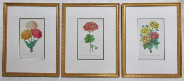 1860s French Botanical Engravings Set of 3 - The Emporium Ltd. - White