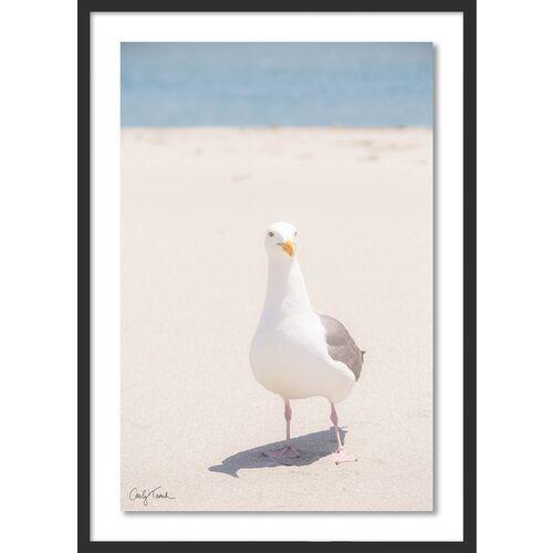 Carly Tabak - Gilbert California Photograph - Black