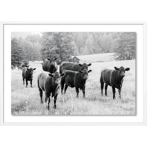 Carly Tabak - Cool and the Gang California Photograph - White