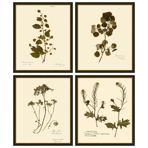 Lauren Liess - Pressed Floral Set - Black