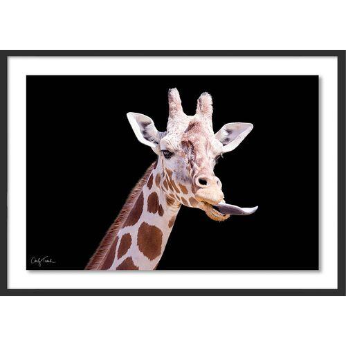 Carly Tabak - Neuman California Photograph - Black