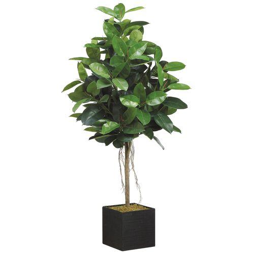 78" Faux Rubber Tree - Green