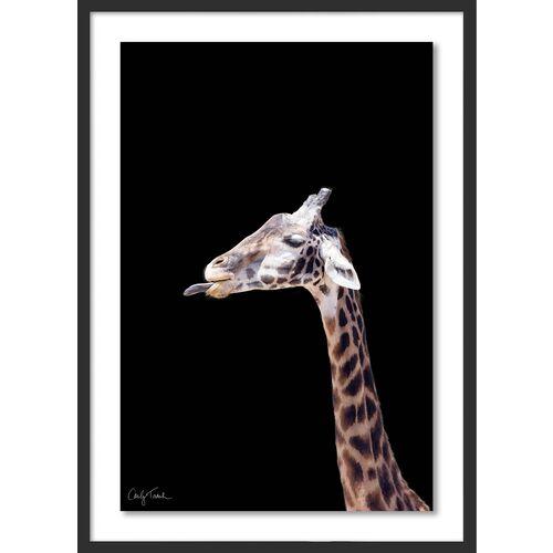 Carly Tabak - George California Photograph - Black