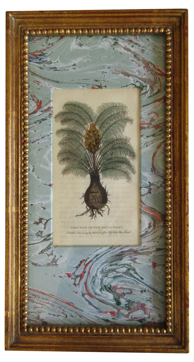 19th-C Fern Pine Engraving - The Emporium Ltd. - Blue