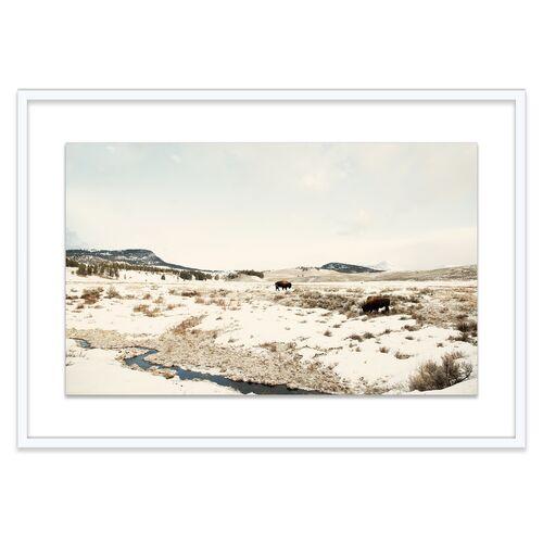 Christine Flynn - Bison Lamar Valley II Photograph