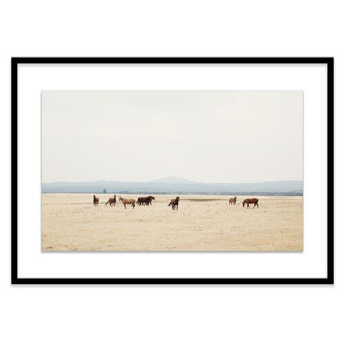 Christine Flynn - Wild Horses II Photograph