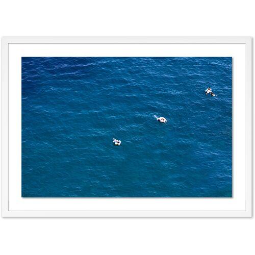 Judith Gigliotti - Peppermint Swim Photograph - White