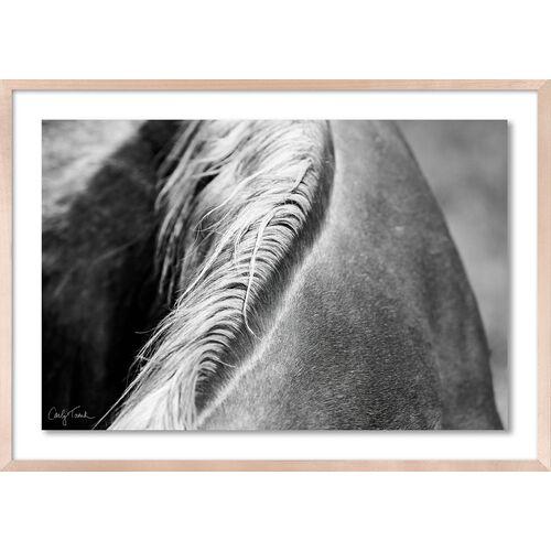 Carly Tabak - Mane Mendocino Photograph - Beige