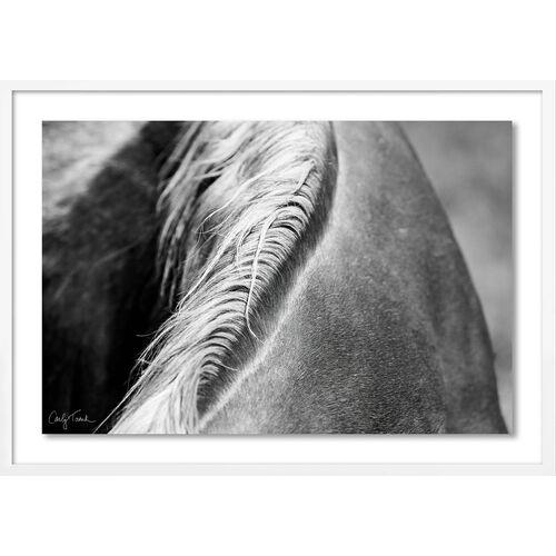 Carly Tabak - Mane Mendocino Photograph - White