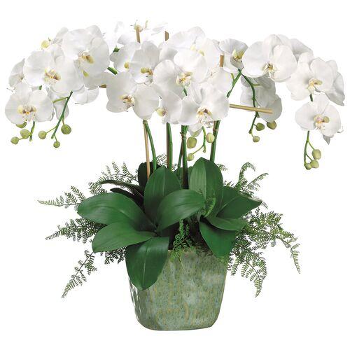 28" Phalaenopsis Orchid Arrangement - Faux - White