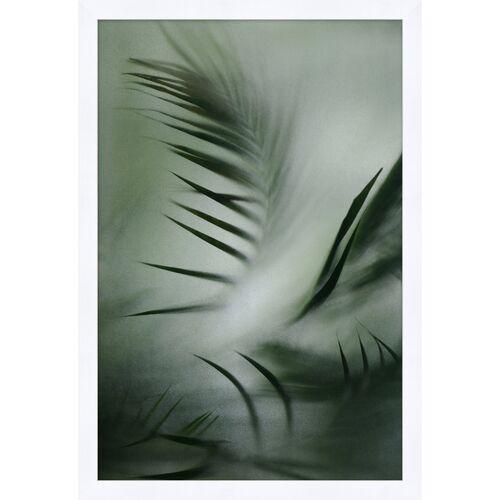 Palm Through Mist 2 - Green