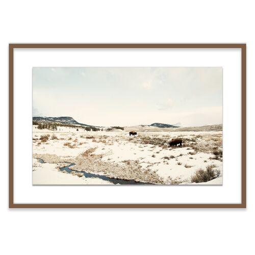 Christine Flynn - Bison - Lamar Valley II Photograph - Beige