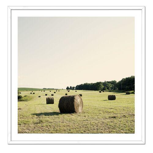 Christine Flynn - Hayfield Photograph - Green