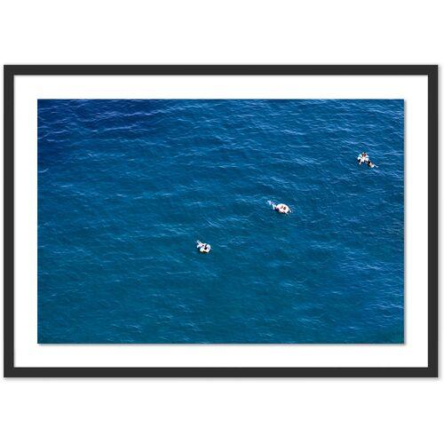 Judith Gigliotti - Peppermint Swim Photograph - Black