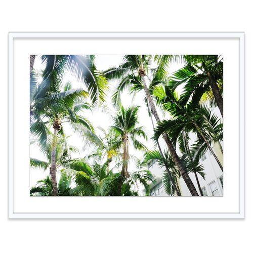 Natalie Obradovich - Miami Palms Photograph - Green