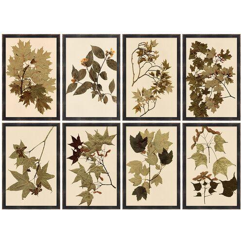 Lauren Liess - Nature's Capture Set - Black