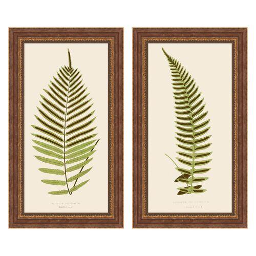 Lauren Liess - Fern Panel Set - Black