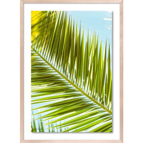 Carly Tabak - Palm 2 Southern California Photograph - Beige