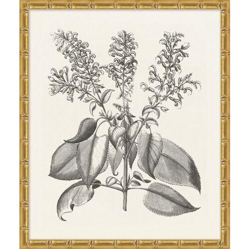 Lillian August - Bessler Study in Neutral VIII - Gold