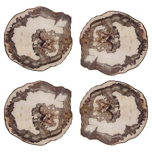 Set of 4 Petrified Coasters - Natural - Kim Seybert - Gray