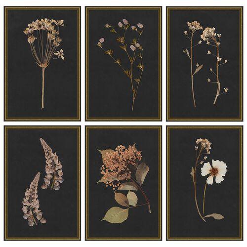 Lauren Liess - Moody Botanical Set - Black