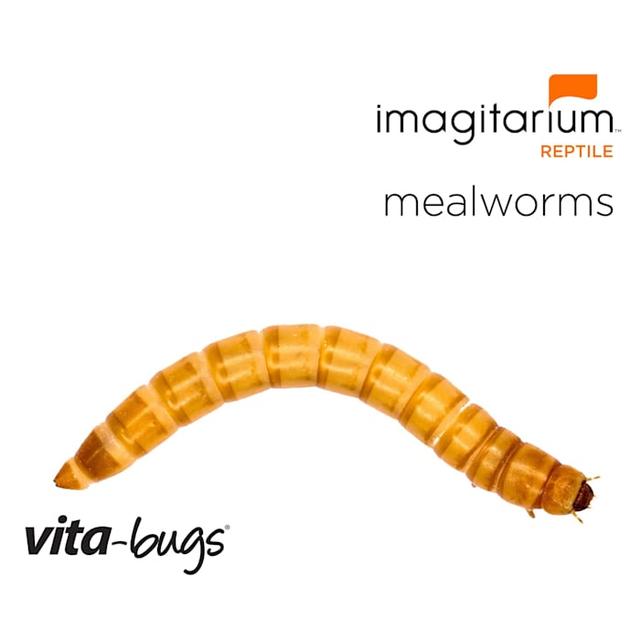 Imagitarium Vita-Bugs Mealworms - Large, 50 Count