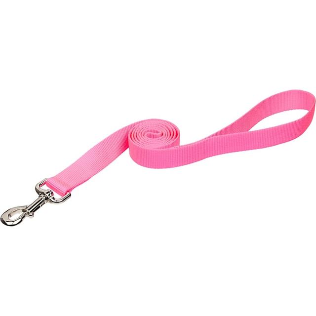 Coastal Pet Single-Ply Dog Leash Personalized, Neon Pink, 4 ft. Long, 1 in. Wide, Large