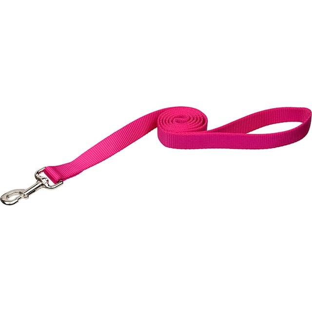 Coastal Pet Single-Ply Dog Leash Personalized, Pink Flamingo, 6 ft. Long, 3/8 in. Wide, XS