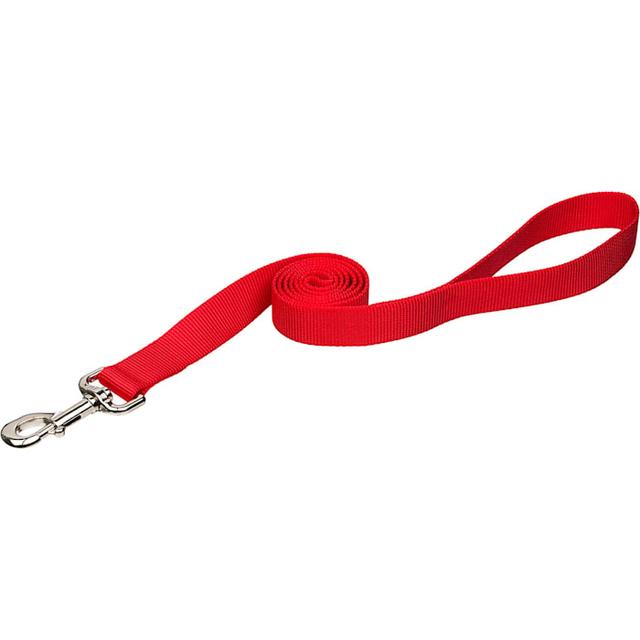 Coastal Pet Single-Ply Dog Leash Personalized, Red, 6 ft. Long, 5/8 in. Wide, Small