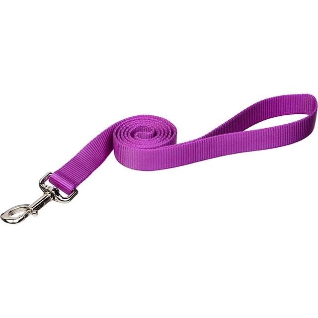 Coastal Pet Single-Ply Dog Leash Personalized, Orchid, 4 ft. Long, 1 in. Wide, Purple, Large
