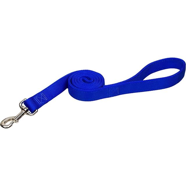 Coastal Pet Double-Ply Dog Leash Personalized, Blue, 6 ft. Long, 1 in. Wide, Medium/Large