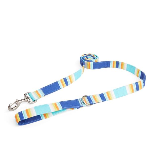 YOULY Blue & Orange Stripe Dog Leash, 6 ft