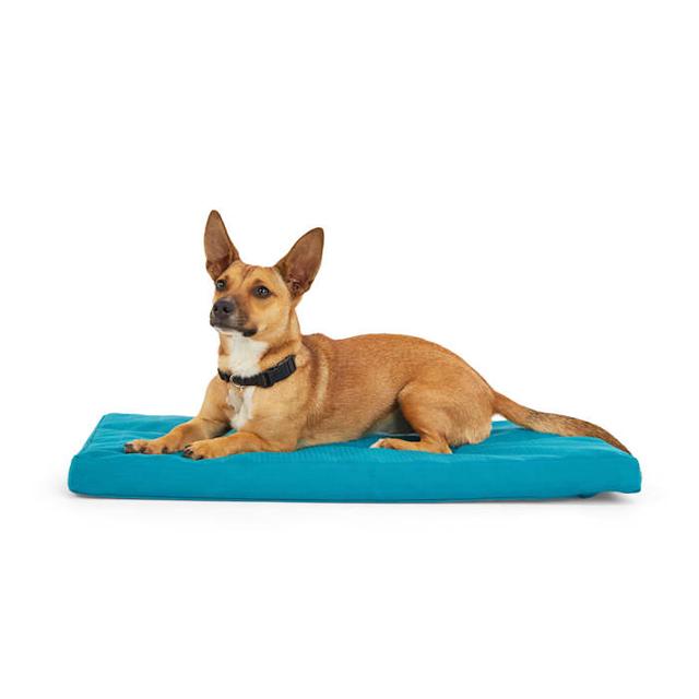 EveryYay Teal Happy Place Durable Dog Mat, 30" L X 19" W X 2" H, Blue, Medium