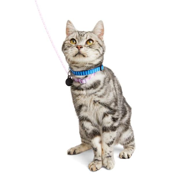 YOULY Galaxy Kitten Harness & Leash Set, Pink, XS