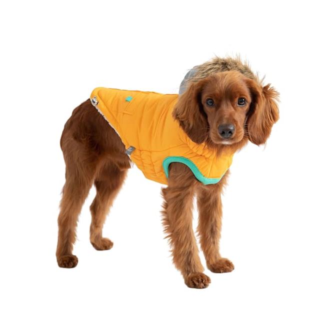 GF Pet Yellow Winter Sailor Dog Parka, 4XL