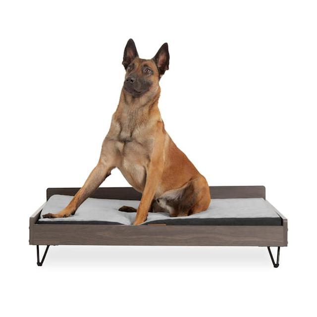 TailZzz Greenguard Gold Certified Water-resistant Chase Wooden Pet Bed with Mattress, 43.43" L X 33.43" W X 11" H, Mocha, Gray, XL