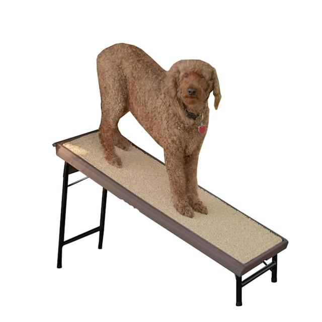 Pet Gear Ultra-Lite Free-Standing Ramp with SupertraX