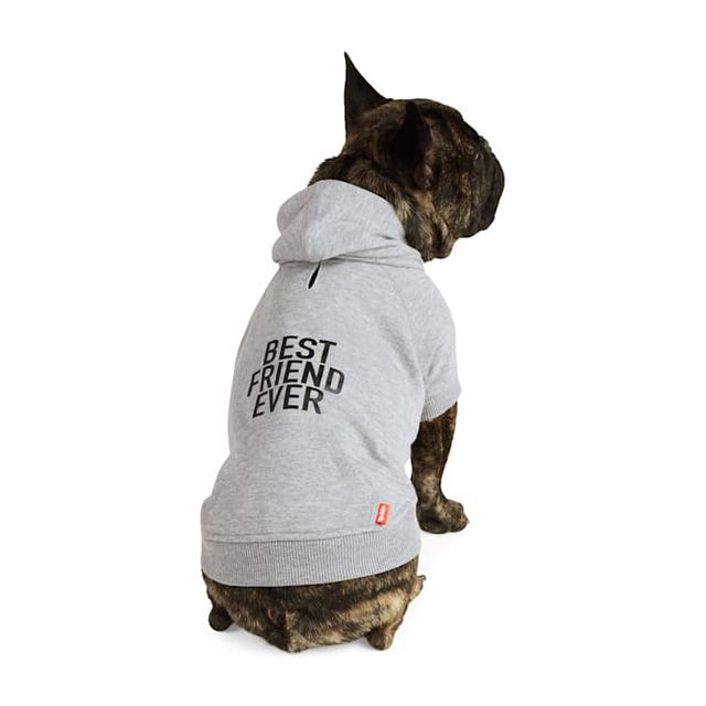 Reddy Best Friend Ever Hoodie for Dogs, X-Large, Grey