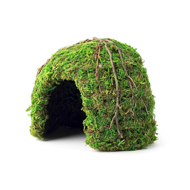 Galapagos Green Mossy Dome, 6" Diameter