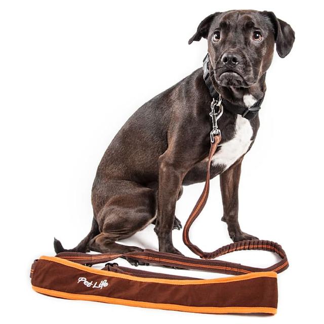Pet Life 'Free-Fetcher' Hands Free Over-The-Shoulder Shock Absorbent Dog Leash, Brown, 5.66 ft., Small