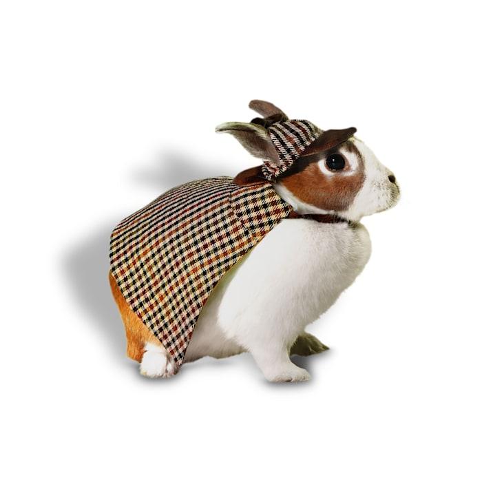Bootique Detective Rabbit Halloween Costume