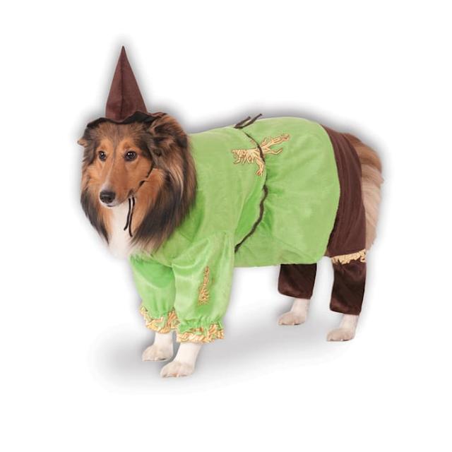 RUBIES The Wizard of Oz Scarecrow Pet Costume, Green, XL