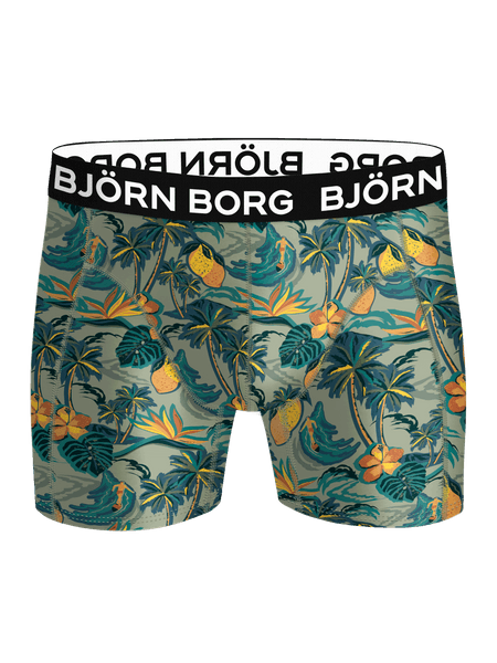 Björn Borg Microfiber Boxer 1-pack Multi, XS