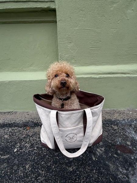 Björn Borg Ace Canvas Tote 30l Wit