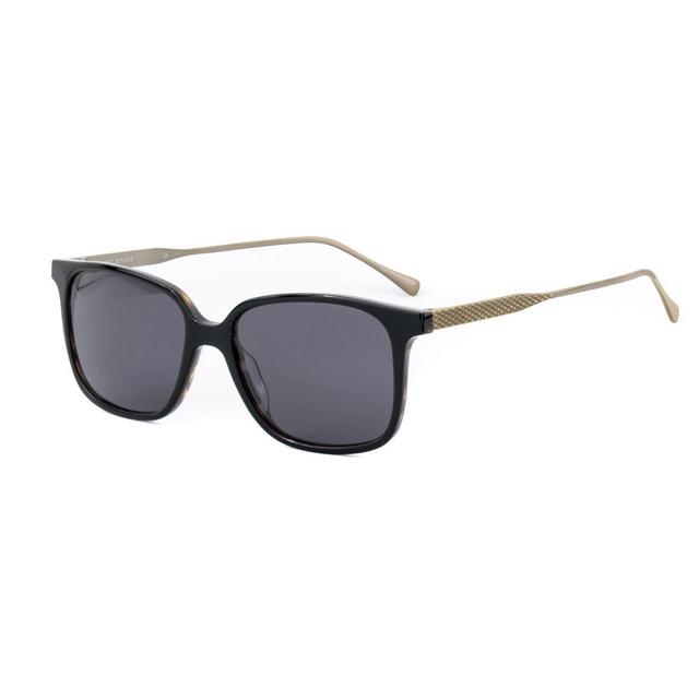 Belstaff Brown Titanium  Sunglasses