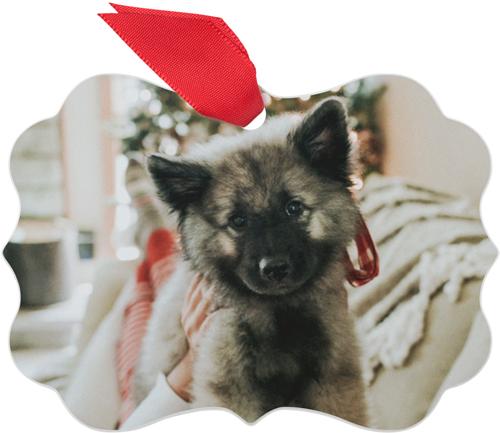 Metal Christmas Ornaments: Photo Gallery Pet, Rectangle Bracket, Multicolor